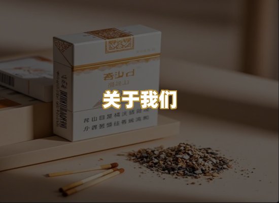 关于我们